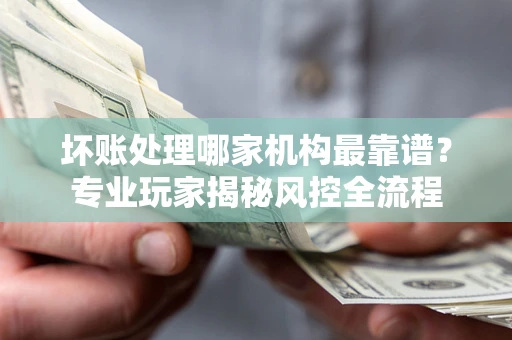 武汉坏账处理哪家机构最靠谱？专业玩家揭秘风控全流程
