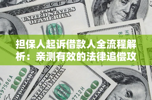 武汉担保人起诉借款人全流程解析：亲测有效的法律追偿攻略
