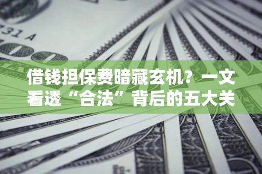 武汉借钱担保费暗藏玄机？一文看透“合法”背后的五大关键陷阱