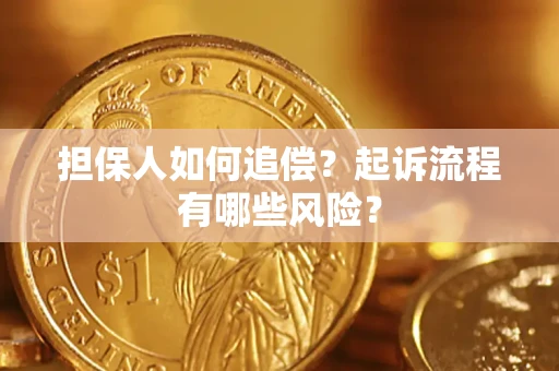 武汉担保人如何追偿？起诉流程有哪些风险？