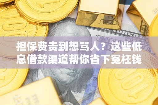 武汉担保费贵到想骂人？这些低息借款渠道帮你省下冤枉钱