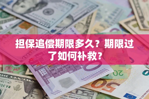 武汉担保追偿期限多久？期限过了如何补救？