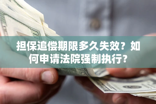 武汉担保追偿期限多久失效？如何申请法院强制执行？