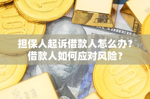 武汉担保人起诉借款人怎么办？借款人如何应对风险？