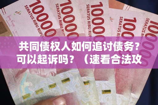 武汉共同债权人如何追讨债务？可以起诉吗？（速看合法攻略）