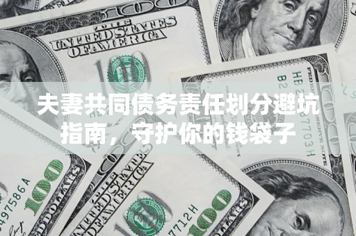 武汉夫妻共同债务责任划分避坑指南，守护你的钱袋子
