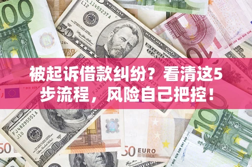 武汉被起诉借款纠纷？看清这5步流程，风险自己把控！