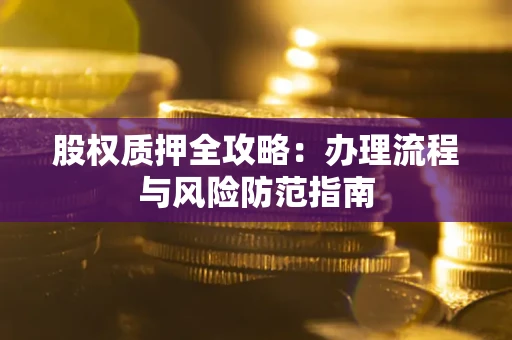 武汉股权质押全攻略：办理流程与风险防范指南